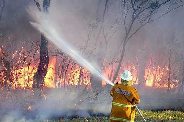 Detienen a mujer acusada de iniciar incendios forestales en Yungay