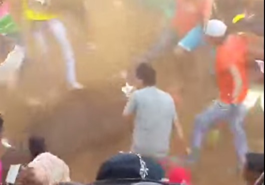 En Colombia 20 personas mataron a un toro a golpes con palos, patadas y cuchilladas