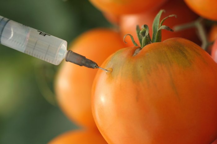 Unión Europea aprueba legislación que permite prohibir los cultivos de transgénicos