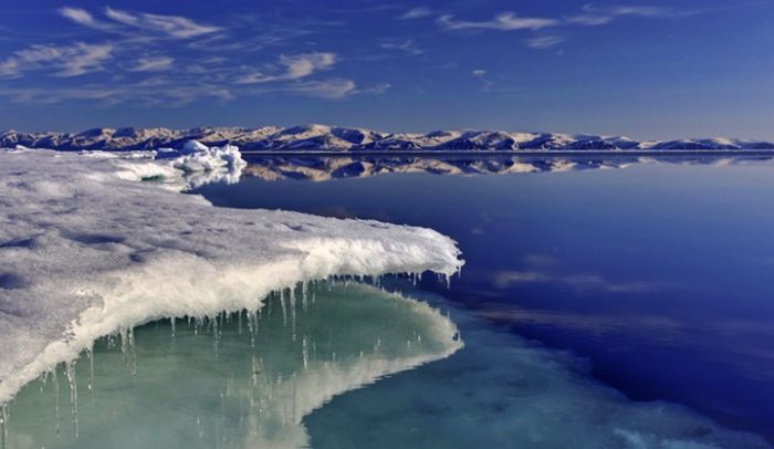 Científicos convierten a la Antártica chilena en laboratorio para investigar cambio climático