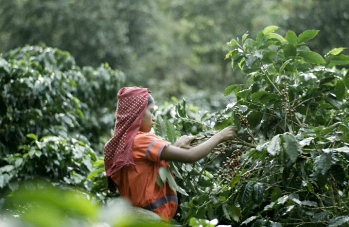 Sundance Channel estrena aclamado documental «A Small Section of the World»