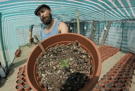 CultivaTV – capítulo 5: Fundación Daya y el primer cultivo de Cannabis para uso medicinal en Latinoamérica