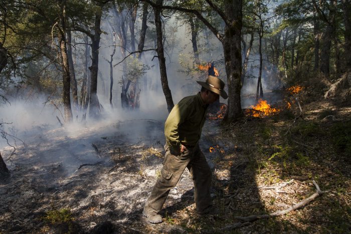CGE dice que sus subcontratistas fueron «presionados» para decir que provocaron incendio forestal