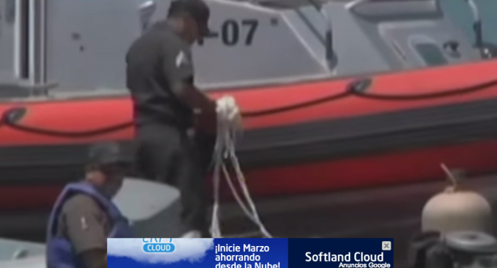 Video: Una turista canadiense muere golpeada por una ballena