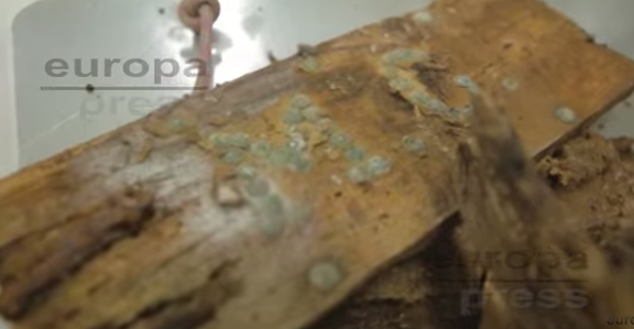 Video: Encuentran restos de Miguel de Cervantes