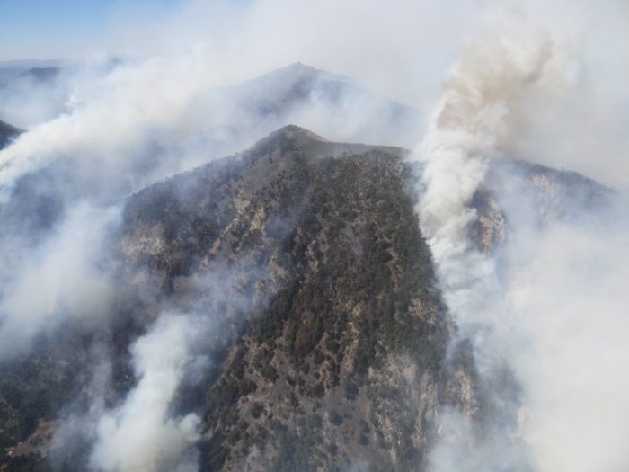 Conaf refuerza brigadas para combatir incendios forestales en tres regiones incluyendo Reserva Nacional China Muerta