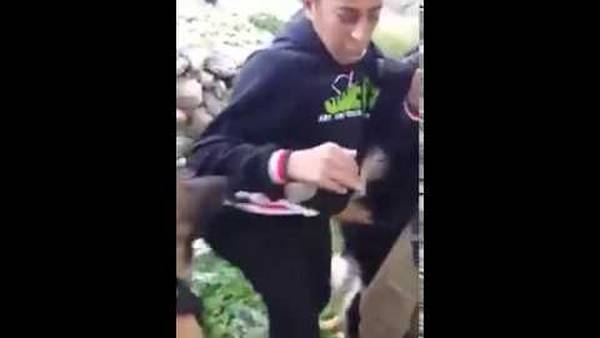 [Video] Soldado israelí azuza perro contra niño palestino