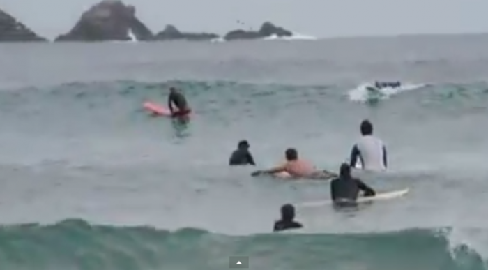 Video: Delfines sorprenden a surfistas