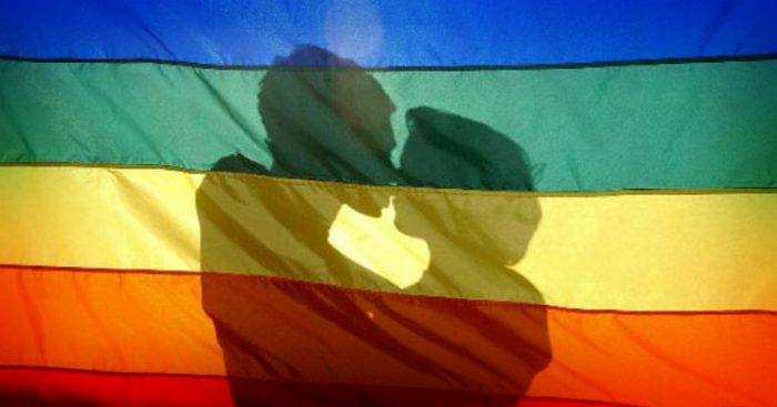 El Movilh advierte que casos de discriminación sexual subieron 65% en 2014