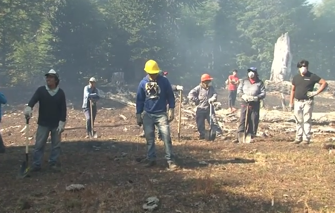 Video: Comunidades mapuches combaten el incendio en La Araucanía