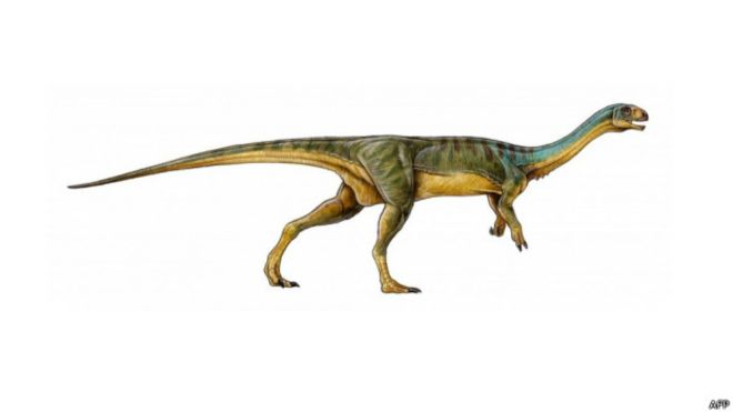Un niño de siete años descubre en Chile un dinosaurio único