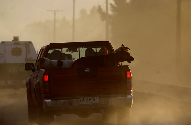 Peñailillo reitera llamado a la evacuación de 20 km a la redonda del volcán Calbuco