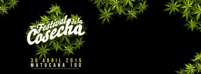 Festival de la Cosecha, el evento de promoción de la cannabis que amenaza con sorprender al público