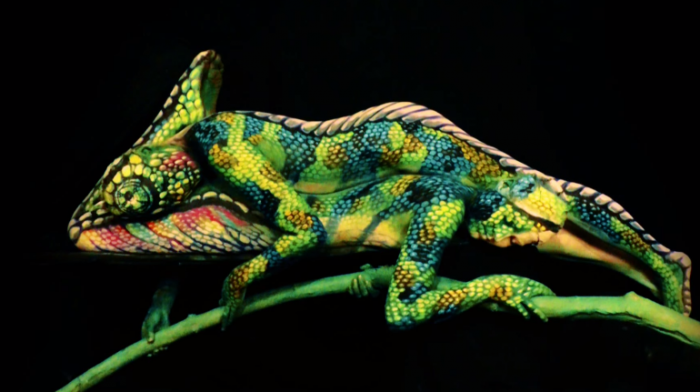 Video: Mira la ilusión óptica oculta tras este camaleón