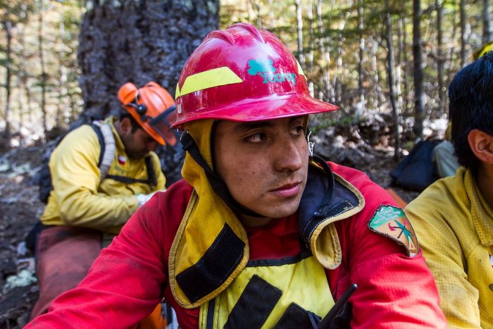 Colegio de Ingenieros Forestales respalda manejo de Conaf ante crisis por incendios en el sur