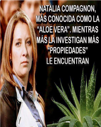 Redes sociales festinan con perdón de Compagnon a Bachelet