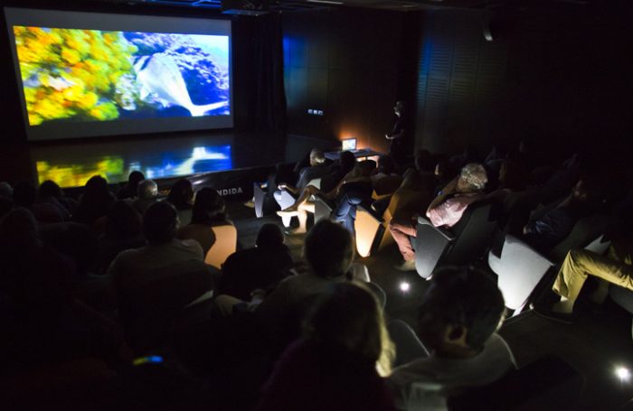 Documental que muestra un desconocido e impresionante Chile submarino fue presentado en Puerto de Ideas Antofagasta