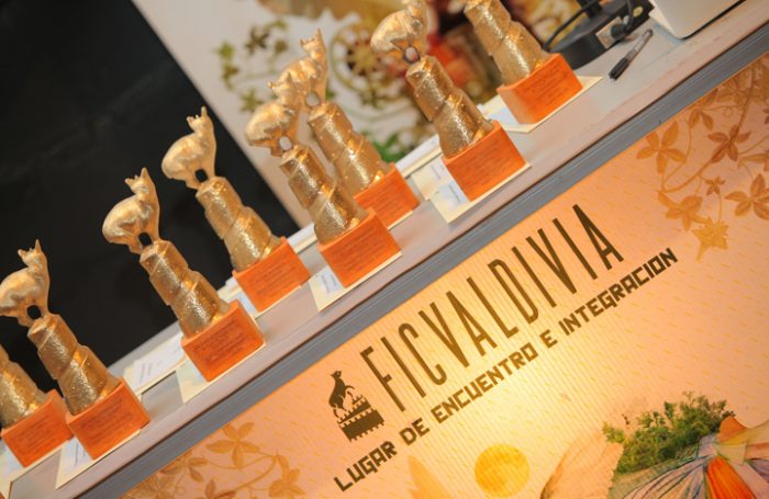 22° Festival Internacional de Cine de Valdivia reafirma sus espacios de participación ciudadana