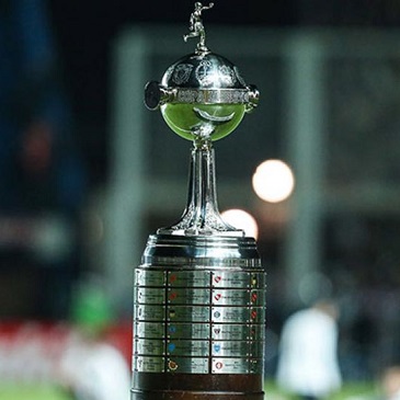 Copa libertadores: y sólo quedan ocho… (videos)