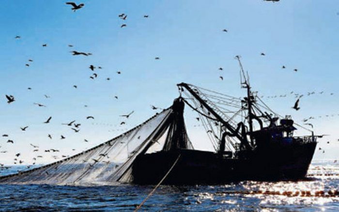 Los otros conflictos de interés y acusaciones en la cuestionada Ley de Pesca de Longueira