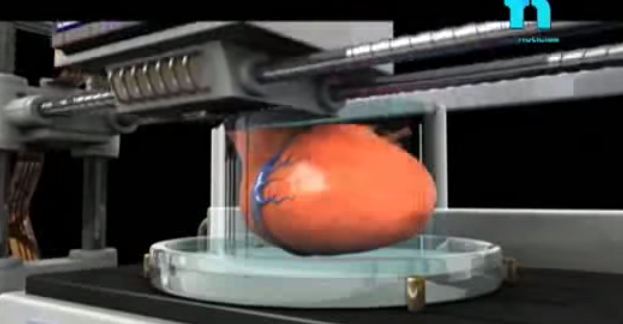Video: Crean riñón artificial con impresora 3D