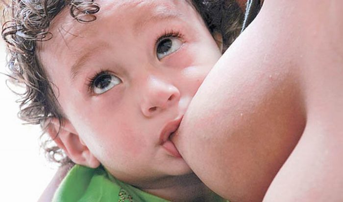 Estudio en neurociencias arroja que el temperamento es transmisible por la leche materna