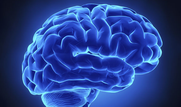 Cerebro de pacientes en estado vegetativo  puede activarse con estímulos sensoriales