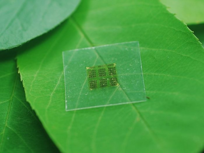 Video: Científicos desarrollan chips hechos de madera