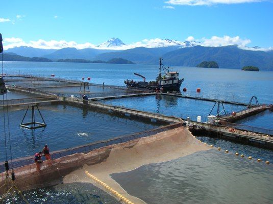 Subsecretaría de Pesca cede y retira propuesta sobre nuevas áreas para acuicultura en litoral de Aysén