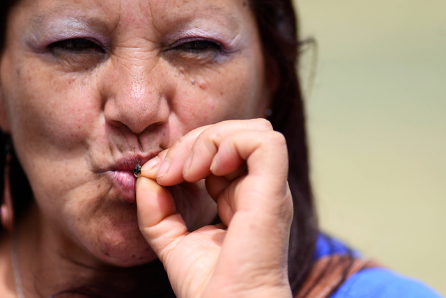 Corte Suprema absuelve a mujer acusada de cultivo de marihuana