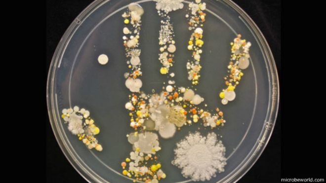 Así son realmente las bacterias de una mano sin lavar