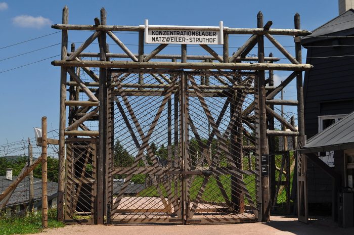 Polémica por hallazgo de restos de víctimas del nazismo en instituto forense francés