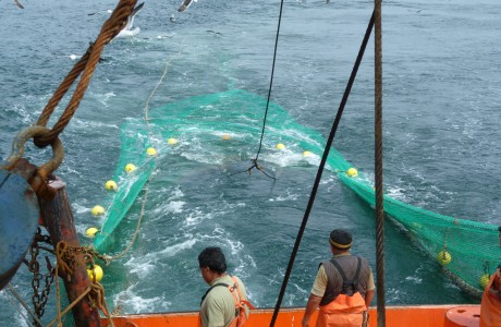 Condenan a empresa pesquera que despidió a tripulante que grabó un video denuncia