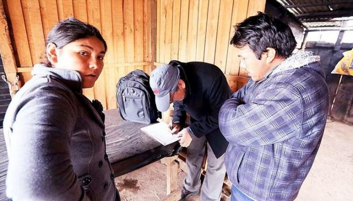 Encuentran a trabajadores bolivianos en condiciones laborales «casi infrahumanas» en fundo de San Antonio