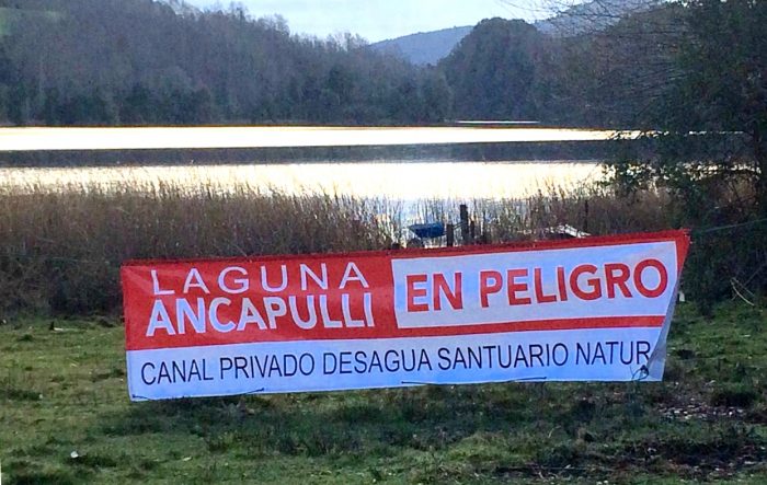 El drama del «exterminio ambiental» de la laguna Ancapulli en Pucón