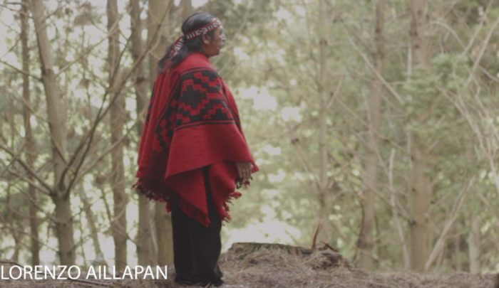 Luis Dubó y Lorenzo Aillapán, el “Hombre Pájaro”, preparan película sobre conflicto mapuche
