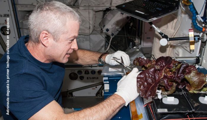 ¡Lechuga! ¿Es todo lo que se les ocurre a los genios de la Agencia Espacial Europea?