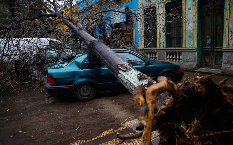 05 de Agosto de 2015/SANTIAGO Vista de un auto cal que le cayo un árbol en Av. La Paz en la comuna de Independencia. FOTO: PABLO VERA LISPERGUER/AGENCIAUNO
