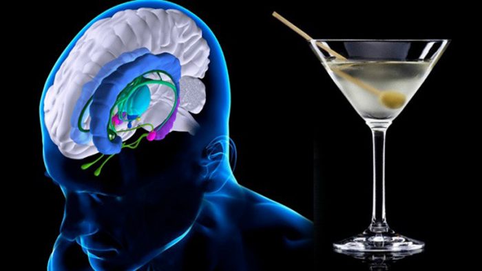 Una molécula protegería al cerebro del abuso del alcohol y, en una de esas, también de la resaca