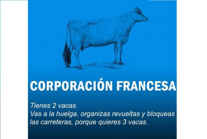 Galería: La economía mundial, explicada con vacas