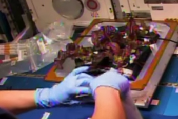 [Video] Astronautas comen la primera lechuga espacial