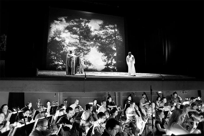 Tres europeos y un chileno entre los cuatro finalistas para dirigir el Teatro Municipal