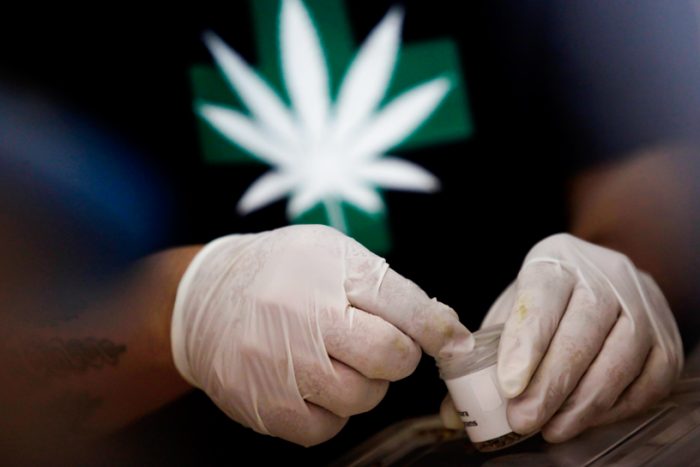 Argentina aprueba el uso medicinal de la marihuana
