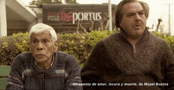 Cortometrajes chilenos e internacionales se toman FIDOCS 2015