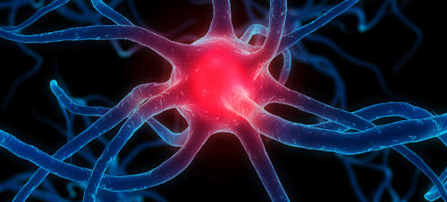 Médicos llaman a crear sistema de atención integral para enfermedades neuromusculares