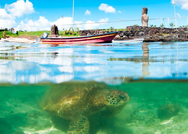 Mesa del Mar Rapa Nui participará en conferencia internacional «Nuestro Océano 2015»