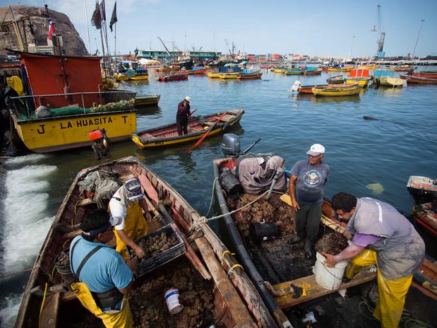 Pescadores de Arica: «Con La Haya se puede esperar cualquier cosa»