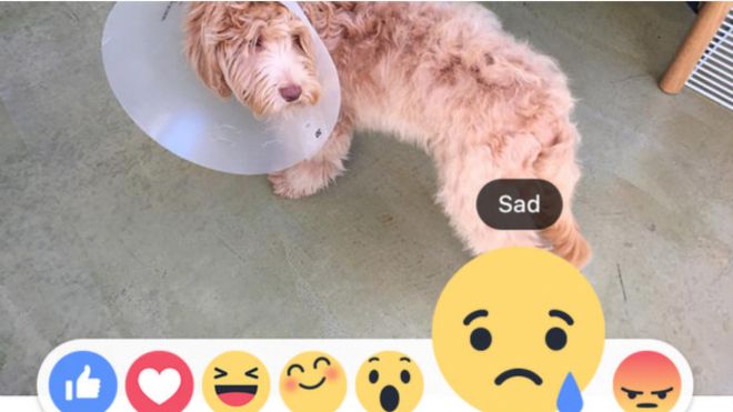 Facebook cambia la idea del botón «No me gusta» por seis emojis con reacciones