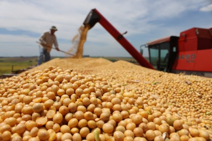 Macri evalúa suspender impuesto a la soja