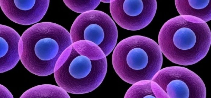 Comunidad científica internacional evalúa real eficacia de las terapias con células madre